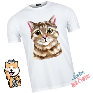 เสื้อยืดลายแมวส้ม Orange Cat  t-shirts