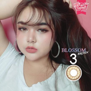 คอนแทคเลนส์ Kitty kawaii รุ่น Blossom Brown