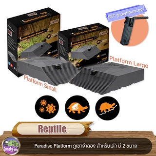 Reptile Pro Reptile Paradise Platform  ภูเขาจำลอง สำหรับเต่า มี 2 ขนาด