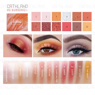 Focallure burning palette