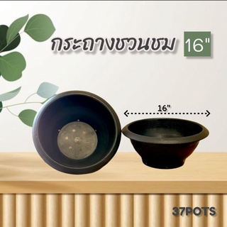 37POTS กระถางชวนชม 16 นิ้ว สีดำ