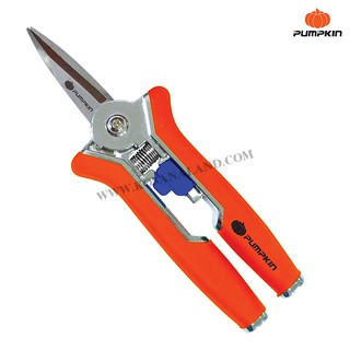 Pumpkin กรรไกรตัดกิ่งผลไม้ตรงแหลมใบสแตนเลส 6 นิ้ว รุ่น PTG-SP6 ( Pruning Shear )