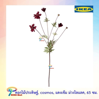 IKEA ต้นไม้ปลอม ไม้ประดิษฐ์  ดอกไม้ประดิษฐ์, cosmos, แดงเข้ม ม่วงไลแลค, 65 ซม.