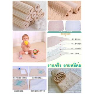 ผ้ารองกันเปื้อนซับฉี่ Organic 100%