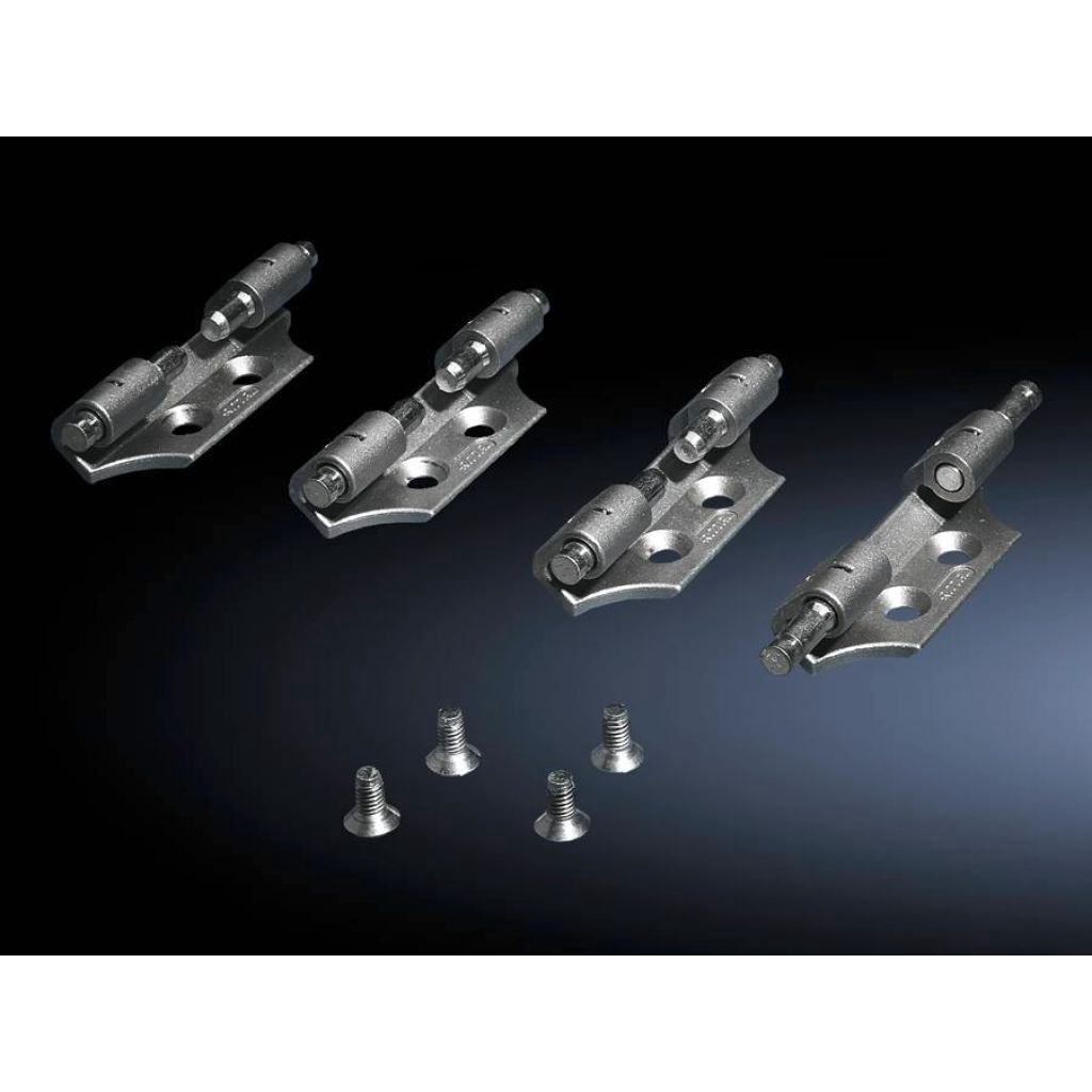 Rittal 8800020 บานพับตู้ TS, packs of 4