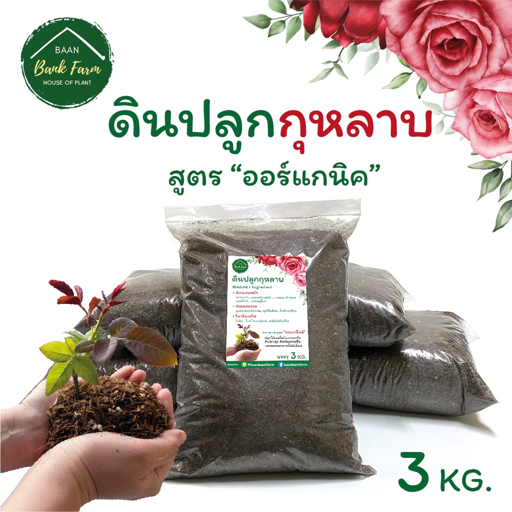 โปรพิเศษ! ดินปลูกกุหลาบ 3kg [1ถุง] สูตรออร์แกนิค ปลูกไม้ประดับ ดินพร้อมปลูก แร่ธาตุครบ ดอกใหญ่โตไว