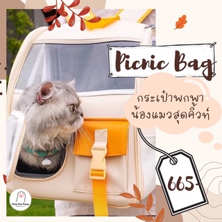 🚗 (พร้อมส่งจากไทย) Pet Backpack  กระเป๋าสัตว์เลี้ยง กระเป๋าใส่แมว กระเป๋าแมว