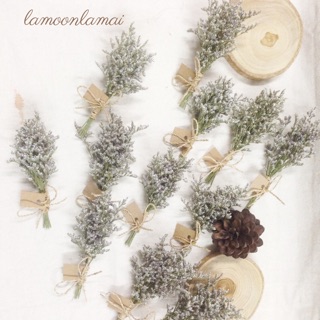 พร้อมส่ง♥️ดอกไม้แห้งเเคสเปียจิ๋ว❗️รบกวนสอบถามก่อนกดสั่งนิดนึ…