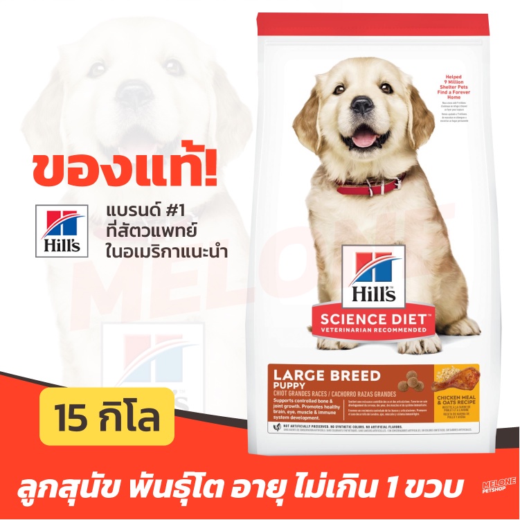 [หมดอายุ 06/2025] Hill's อาหารลูกสุนัข สูตร Science Diet Puppy Large Breed ลูกสุนัข พันธ์ุใหญ่ อายุไม่เกิน 1 ขวบ 15kg