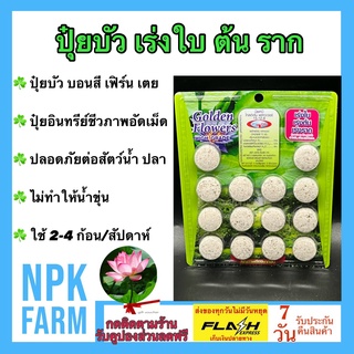 ปุ๋ยบัว 15-12-8 ปุ๋ยดอกบัว ปุ๋ยไม้น้ำ ปุ๋ยบอนสี เฟิร์น เตย Gloden Flowers 14 เม็ด เร่งใบ เร่งต้น เร่งราก น้ำใส ปลาไม่ตาย