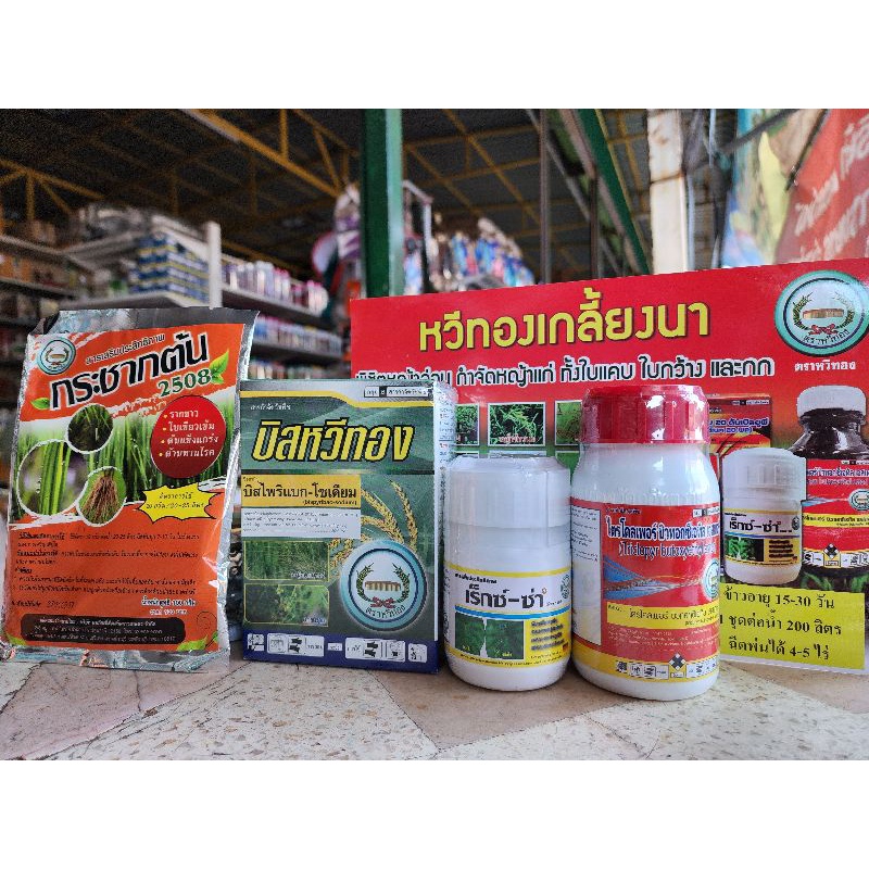 สินค้าเข้าใหม่💥ชุดหวีทองเกลี้ยงนา 💥 ฆ่า ได้ ทั้งใบแคบ ใบกว้าง  กก ทุกชนิด” “ข้าวไม่ตาย ไม่เหลือง ฉีดพ่น ทับนาข้าวได้