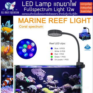 ไฟเลี้ยงปะการัง 12w Full Spectrum สำหรับตู้ขนาดเล็ก ใช้เลี้ยงรอดและโต ได้ค่าแสงครบถ้วน ทุกย่านแสง อุปกรณ์ครบชุดแถมขา LED