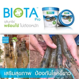 จุลินทรีย์ BIOTA Pro ผสมอาหาร กุ้ง/ปลากินดี แข็งแรง โตไว กำไรงาม