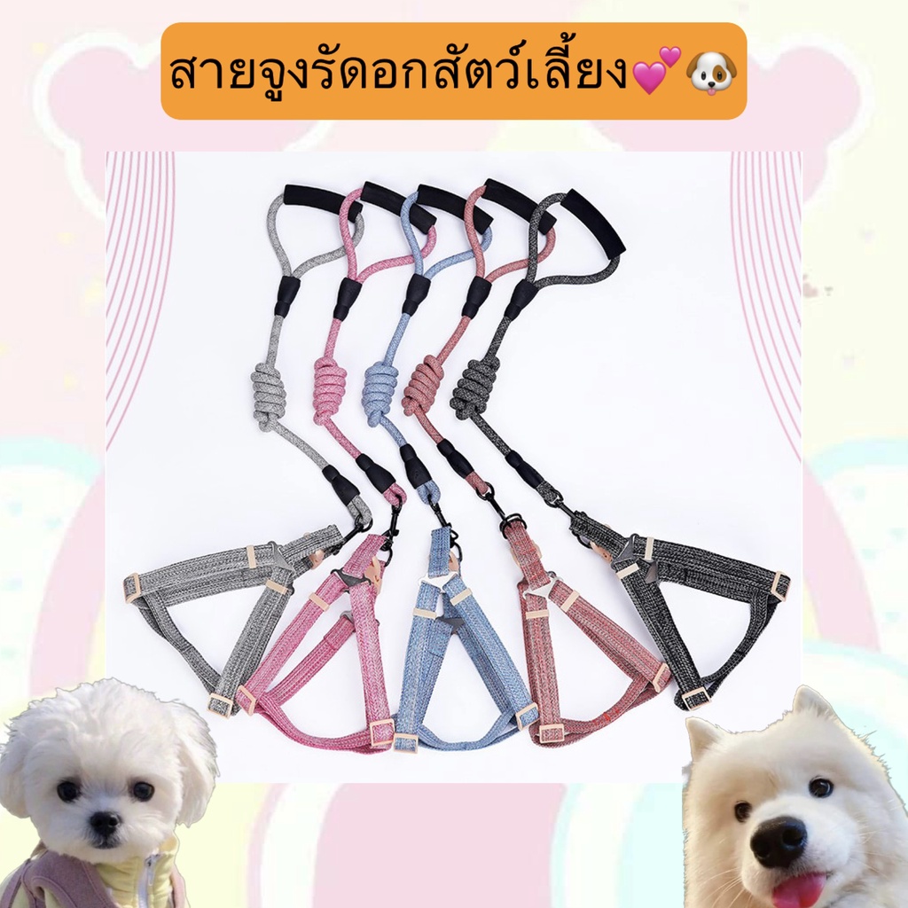 PP-266 สายรัดอกสำหรับสุนัขและแมว เสื้อรัดอกสัตว์เลี้ยง ปรับขนาดได้ แข็งแรงทนทาน พร้อมส่งทันที 😘🐶