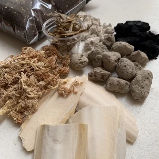 (พร้อมส่ง)เซตเลี้ยงไอโซพอต ครบชุด เซตเลี้ยง isopod ไอโซพอด ครบชุด ชุดเลี้ยง ชุดเริ่มต้น isopods