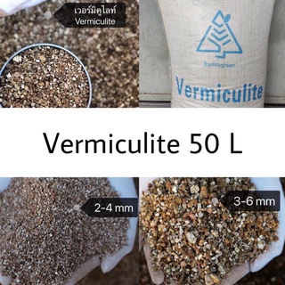 เวอร์มิคูไลท์ 50 L  Vermiculite Amity Green เวอมิคูไลท์