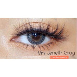 🏝Mini Jeneth Gray🏝สายตา-2.25,-3.25,-4.75(kitty kawaii)