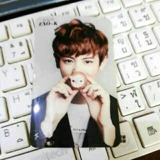 [EXO] สติ๊กเกอร์การ์ดชานยอล