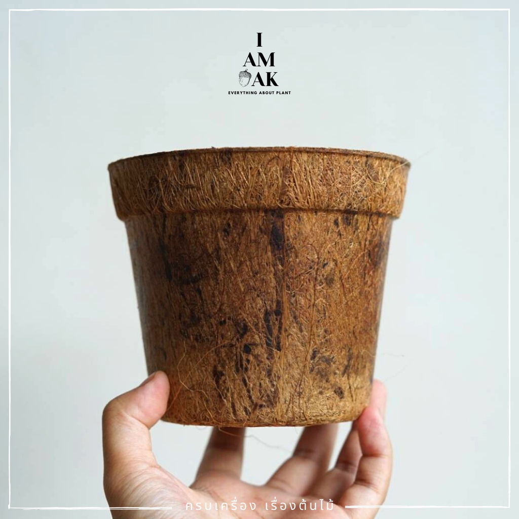 กระถางใยมะพร้าว รักษ์โลก สำหรับเพาะชำ ย่อยสลายได้เอง