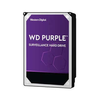 HARDDISK VIDEO 24/7 HDD WD 10TB AV PURPLE