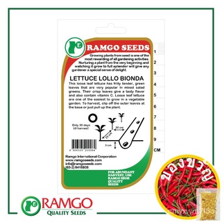 RPO Lettuce Lollo Bionda Seeds苹果/生菜/鲜花/seeds/向日葵/内裤/花园/通心菜/头饰/儿童/ YUGG