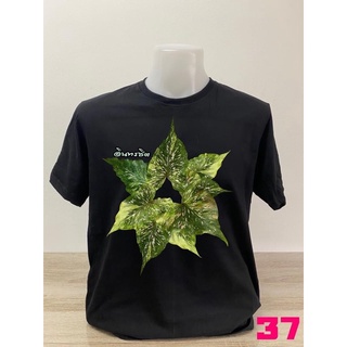 เสื้อยืดคอตตอนลายบอนสีรามเกียรติ์แบบที่37