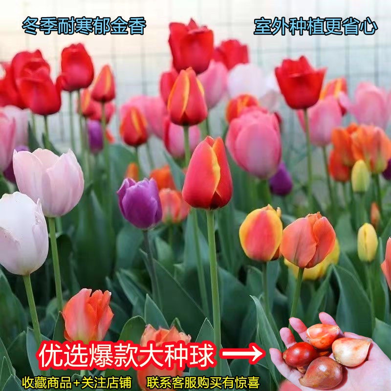 My Image 76
