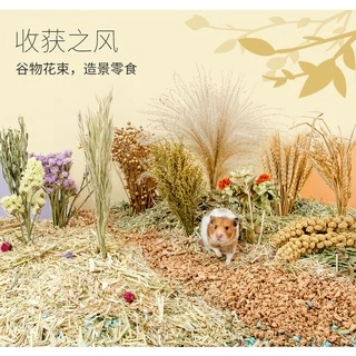 [Hi Hamster] พร้อมส่ง‼️ Harvest Wind Flexseed ธัญพืช มิลเล็ต รองกรง หญ้า Niteangle แอสเพน สัตว์เลี้ยง แฮมสเตอร์