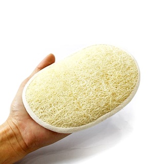 Phutawan Luffa Scrubber (Round) ภูตะวัน ใยบวบแผ่นกลม พร้อมสายรัดสวมมือ