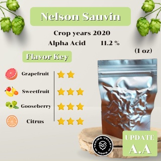 Nelson Sauvin (1oz) Crop years 2020 (บรรจุด้วยระบบสูญญกาศ)