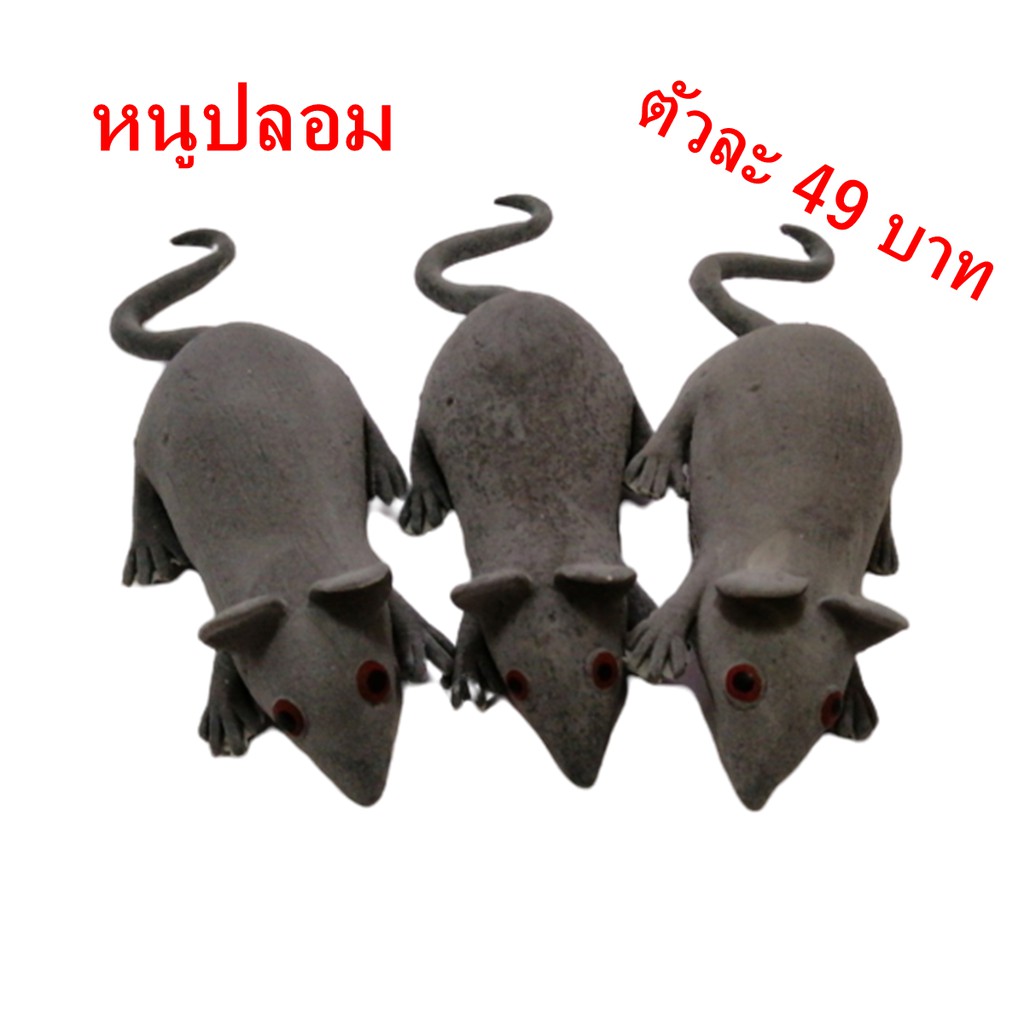 หนูปลอม หนูแกล้งคน โมเดลหนู หนูนา หนูตัวใหญ่ วัสดุทำจากยางพารา ตัวละ 49 บาท/Fake rat