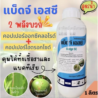 แบ็ดจ์ เอสซี -สารคอปเปอร์ 2 พลังบวกสูตรน้ำ-ขนาดบรรจุ 1 ลิตร