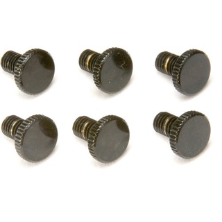 Floydrose Fine Tuning Screw - Set 6 pcs อะไหล่กีต้าร์