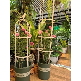 ~พร้อมส่งที่ไทย~ ไซส์ใหญ่มาก “กระถางปลูกต้นไม้ทรงมาตรฐาน​ รุ่นพิมพ์ลาย Gardening”