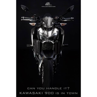 การ์ดหม้อน้ำ LEON KAWASAKI Z900