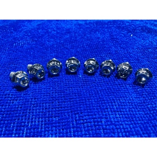 น็อตเลส หัวเจาะ เบอร์10 ยาว12ซม. เลสเงิน (ตัวละ20บาท)