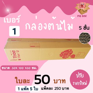 PIGBOX กล่องต้นไม้ เบอร์ 1 ลูกฟูกหนา 5 ชั้น ( 5 ใบ)