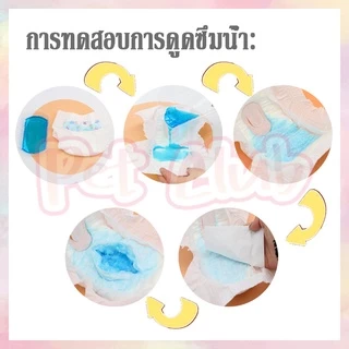 🐶พร้อมส่ง😻ผ้าอ้อมสัตว์เลี้ยง สำหรับสุนัขและแมว S/M/L/XL ผ้าอ้อมสุนัขเพศผู้ ผ้าอ้อมแมว