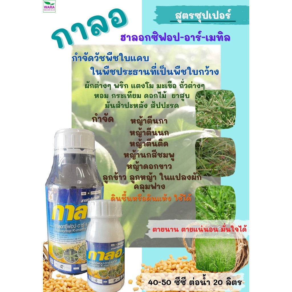 ยาฆ่าหญ้าใบแคบ หญ้าตีนกา หญ้าตีนนก หญ้าดอกขาว ฉีดทับได้เลย ฮาลอกซิฟอปอาร์เมทิล10.8 สูตรซุปเปอร์ กาลอ