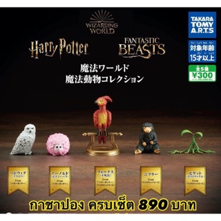 แท้💯 กาชาปอง Harry potter&amp; Fantastic beast