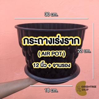 กระถางเร่งราก Air pot ขนาด 12 นิ้ว ชุด 3 ใบพร้อมจานรอง