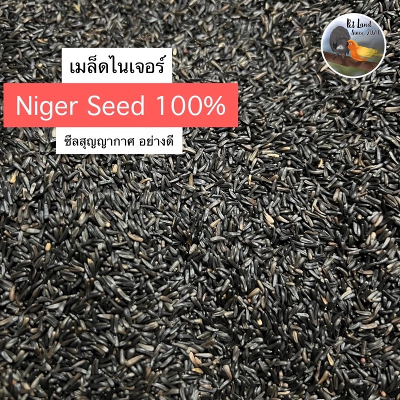 เมล็ดไนเจอร์ Niger seed Farmland สำหรับนกแก้ว แบ่งขายขนาด 500g / 1kg