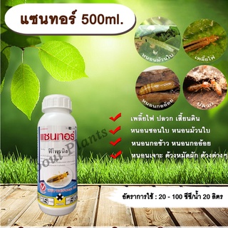 แซนทอร์ 500ml. ฟิโพรนิล สารกำจัดแมลง เพลี้ยไฟ หนอนชอนใบ หนอนม้วนใบ หนอนกอ หนอนเจาะ ปลวก กำจัดปลวก ราดปลวก ด้วง ดูดซึม