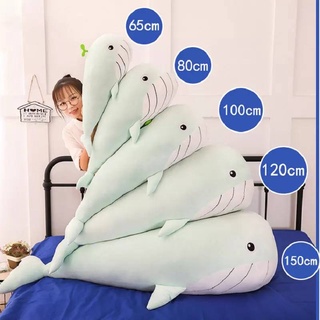 ปลาวาฬนุ่มนิ่ม ตุ๊กตาวาฬ มีให้เลือกหลายขนาด 65-100CM -ผ้า Cotton พร้อมส่ง Whale Sleeping Pillow