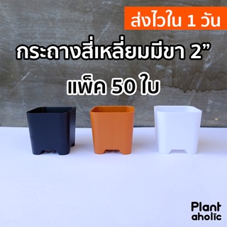 กระถางสี่เหลี่ยมมีขา 2 นิ้ว พลาสติกเนื้อหนา กระถางแคคตัส กระบองเพชร แพ็ค 50 ชิ้น