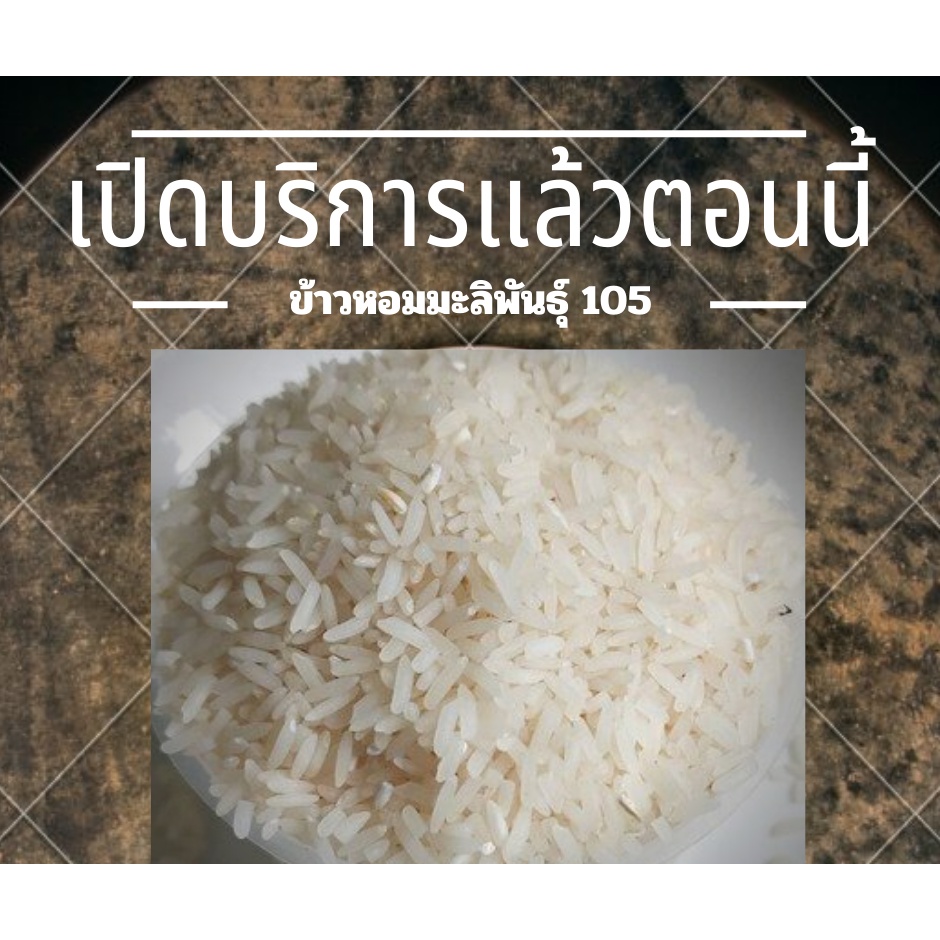 ข้าวหอมมะลิพันธุ์105