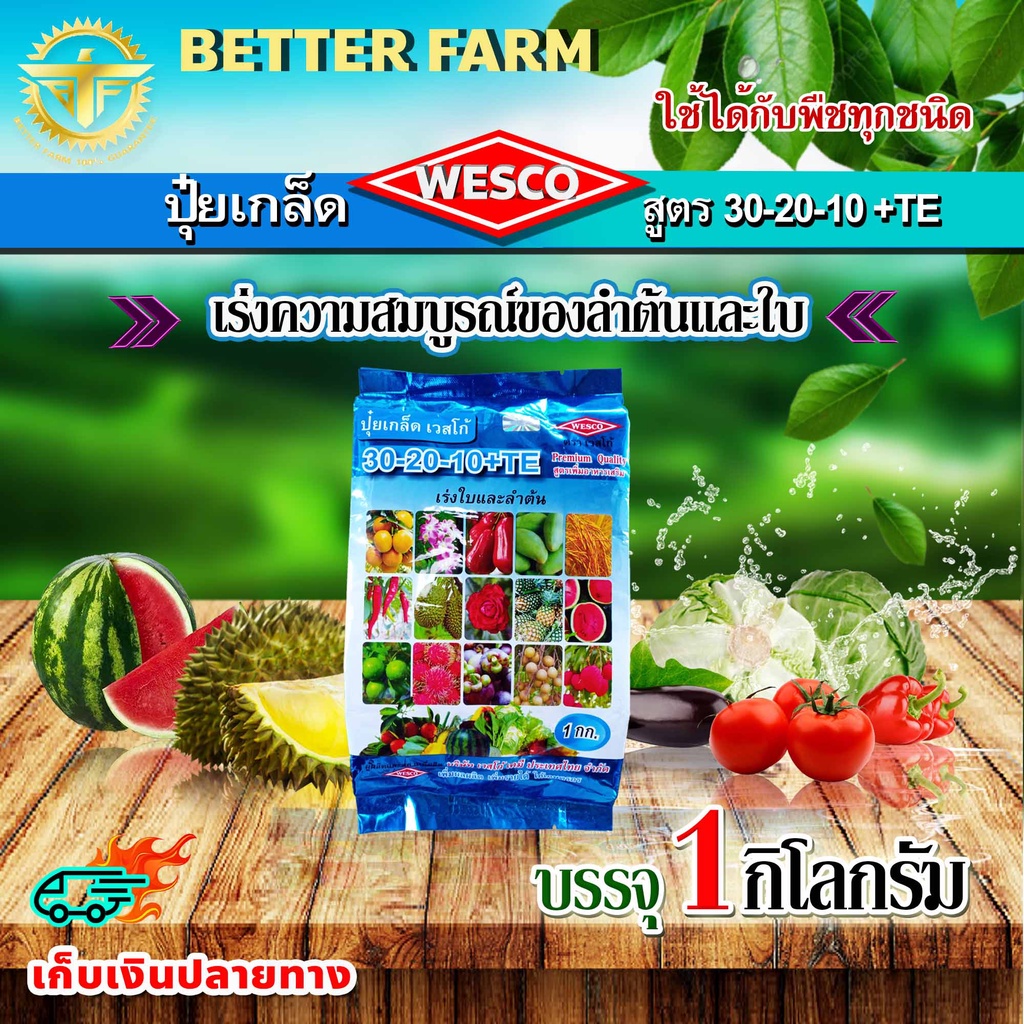 บรรจุ 5 กิโลกรัม WESCO ปุ๋ย 30-20-10 +TE (ธาตุรองเสริม) ปุ๋ยเกล็ด เวสโก้ เร่งความสมบูรณ์ของลำต้นและใบ