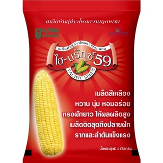 เมล็ดข้าวโพดหวานลูกผสม ไฮ-บริกซ์ 59 เมล็ดสีเหลือง หอม หวาน นุ่ม อร่อย ฝักยาว ผลผลิตสูง (1 กก.)