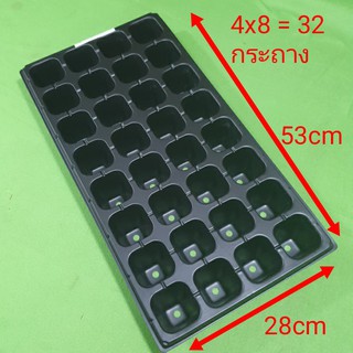 32 หลุม ถาดเพาะชำ กะบะเพาะชำ กะบะเพาะเมล็ด ถาดหลุม  ถาดเพาะกล้า seed tray 32 holes