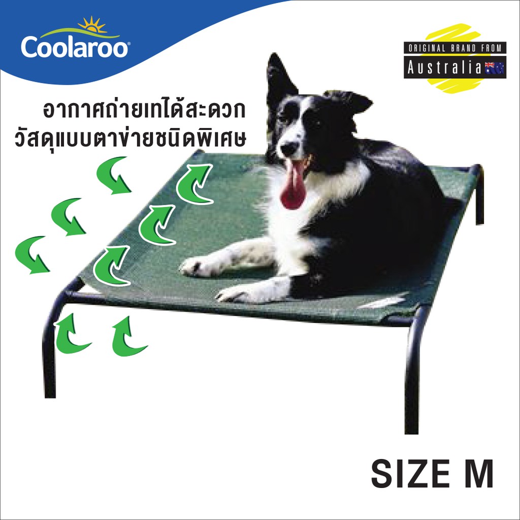 ที่นอนสัตว์เลี้ยง Coolaroo Pet Bed เตียงนอนสุนัข เตียงนอนแมว ป้องกันโรคผิวหนัง บรรเทาแผลกดทับ ย่นระย